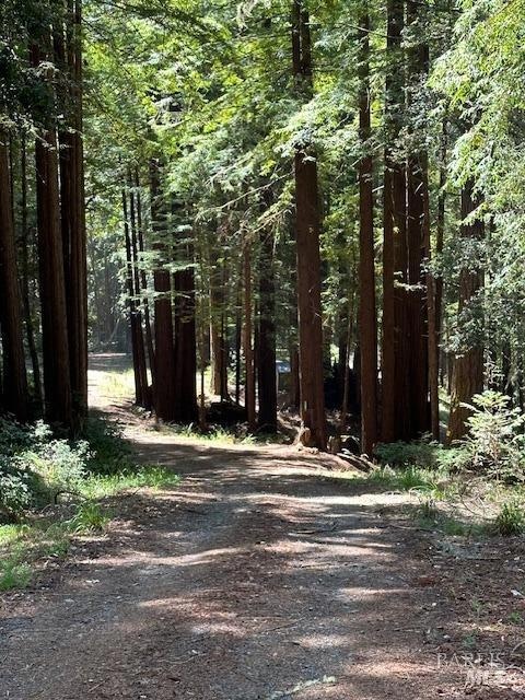 22051 Rust Dr, Timber Cove, CA 95450 - photo 1