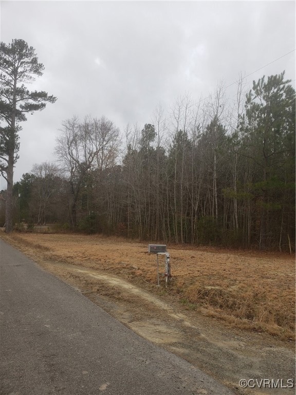 7016 Chippokes Rd, Spring Grove, VA 23881 - photo 1