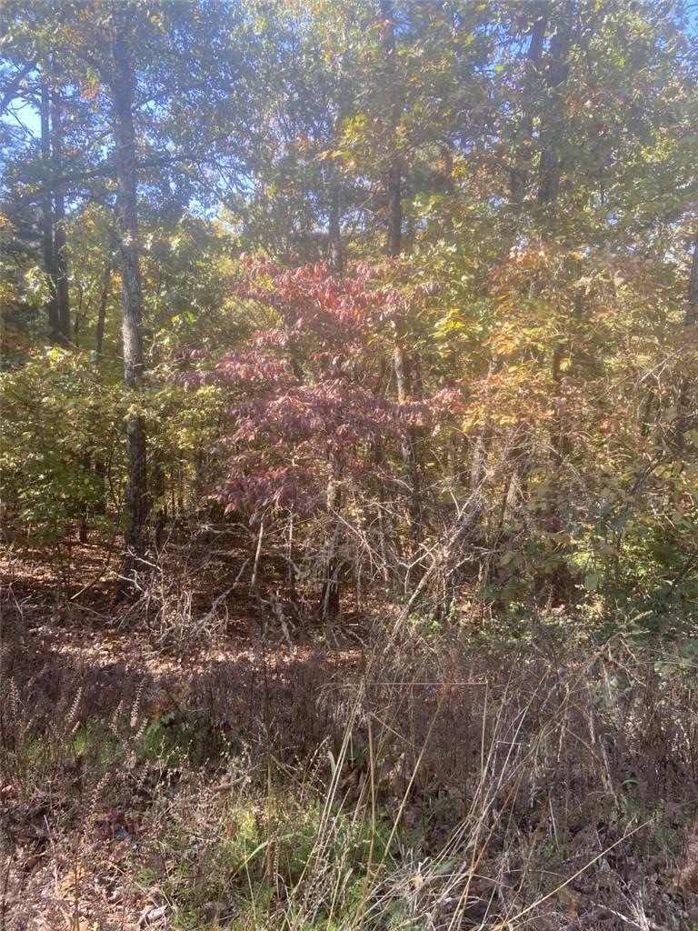 0 Sudbury Ln unit 1203006, Bella Vista, AR 72714 - photo 1