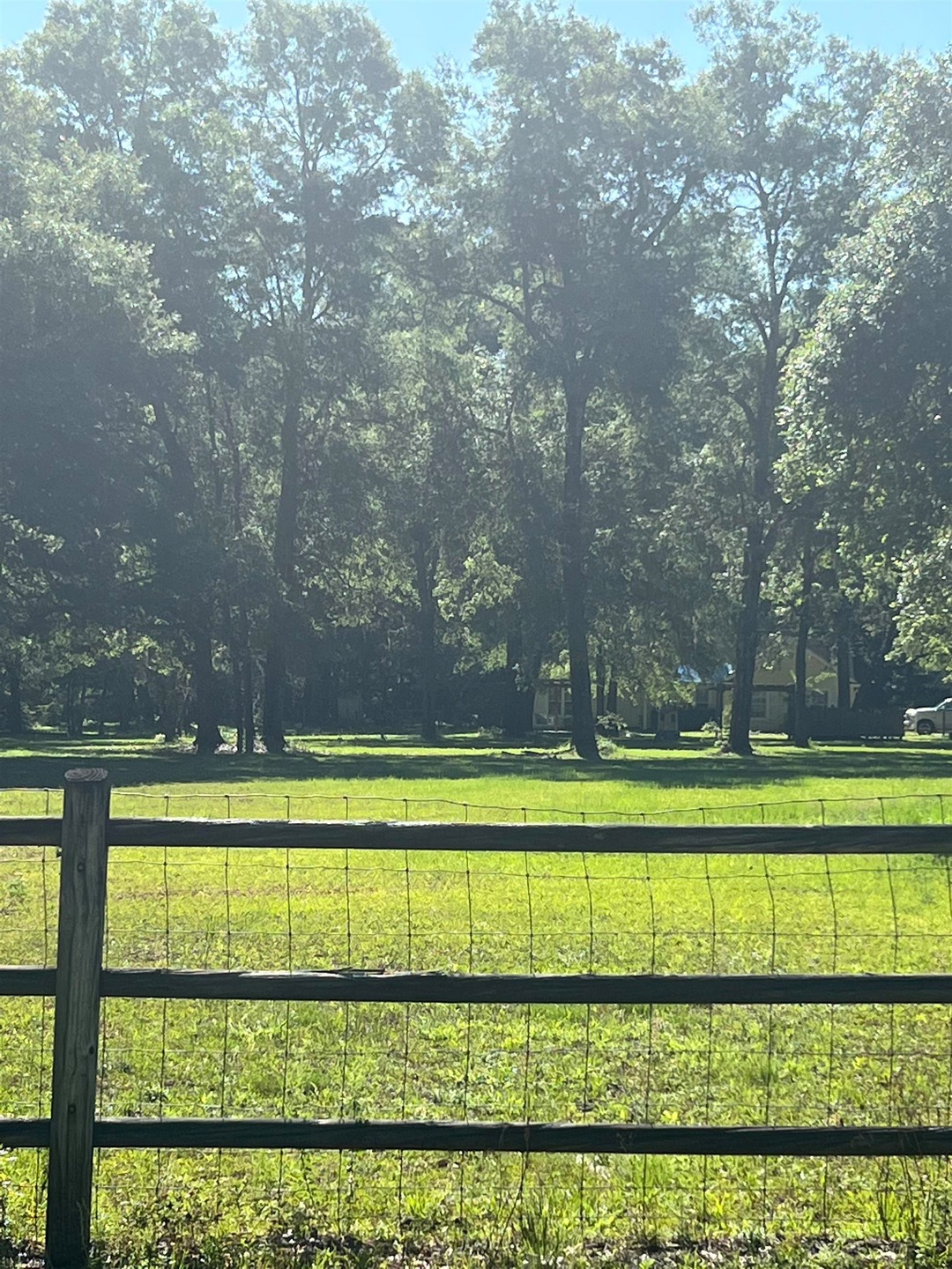 509 Wakulla Springs Rd, Crawfordville, FL 32327 - photo 1