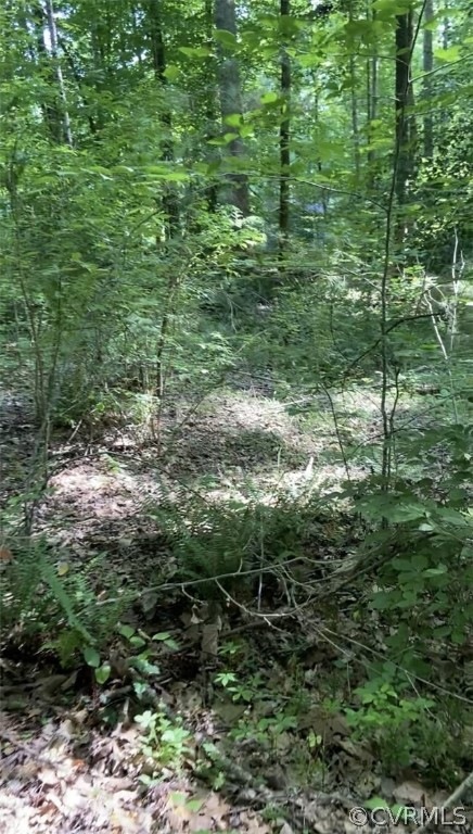 8852 Porto Ct, New Kent, VA 23124 - photo 1