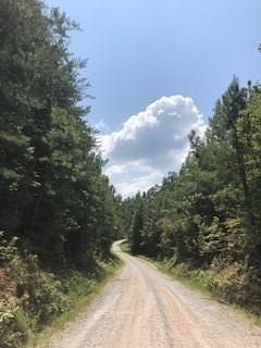 Lot A Styles Lake Rd, Waco, GA 30182 - photo 1