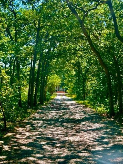 209 W Mcdonwell School Rd, Colleyville, TX 76034 - photo 1