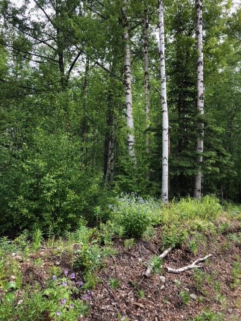 6586 Hart Lake Loop