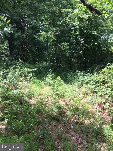 0 Sweitzer Rd unit 1 1002731571, Mohnton, PA 17540 - photo 1