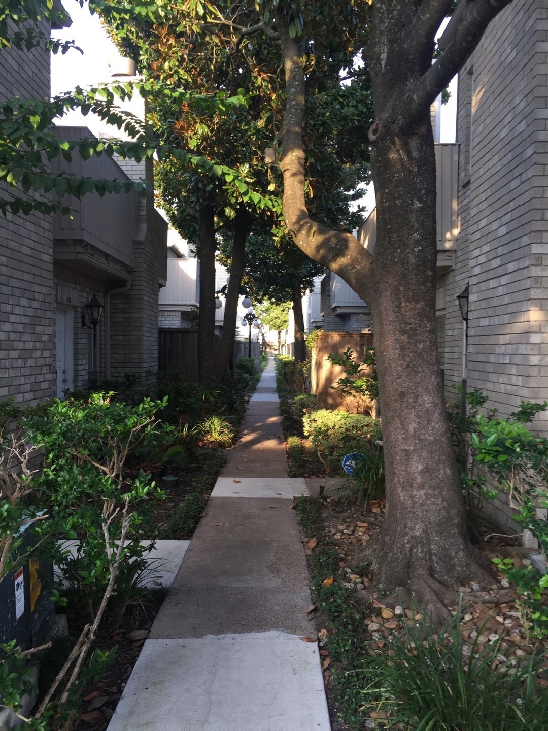 Walkway from back of the complex extra parking are