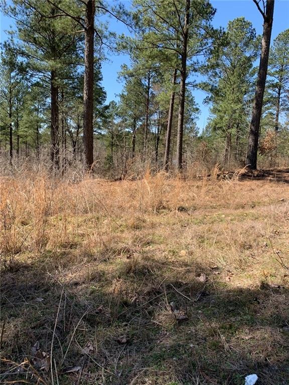 0 Eagle Mountain Trail E unit Lot 51 901734, Broken Bow, OK 74728 - photo 1