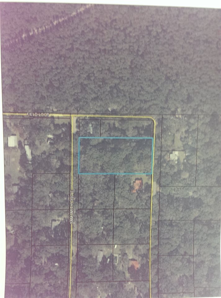 212 Sam Smith Cir, Crawfordville, FL 32327 - photo 1