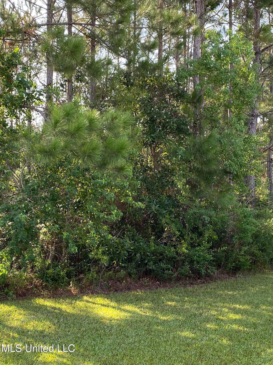 Fully wooded