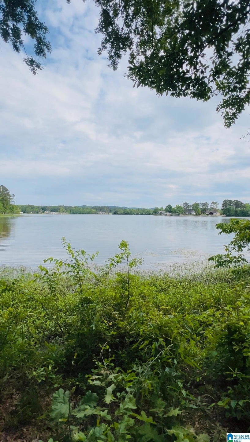 0 Cedar Shores Dr unit 21419292, Sylacauga, AL 35151 - photo 1