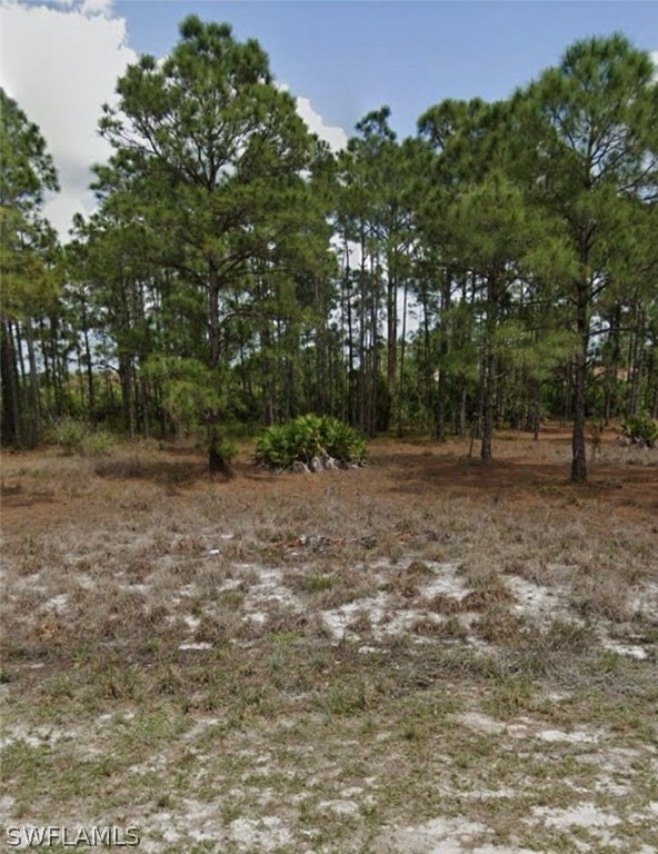 727 Randall Ave, Lehigh Acres, FL 33974 - photo 1