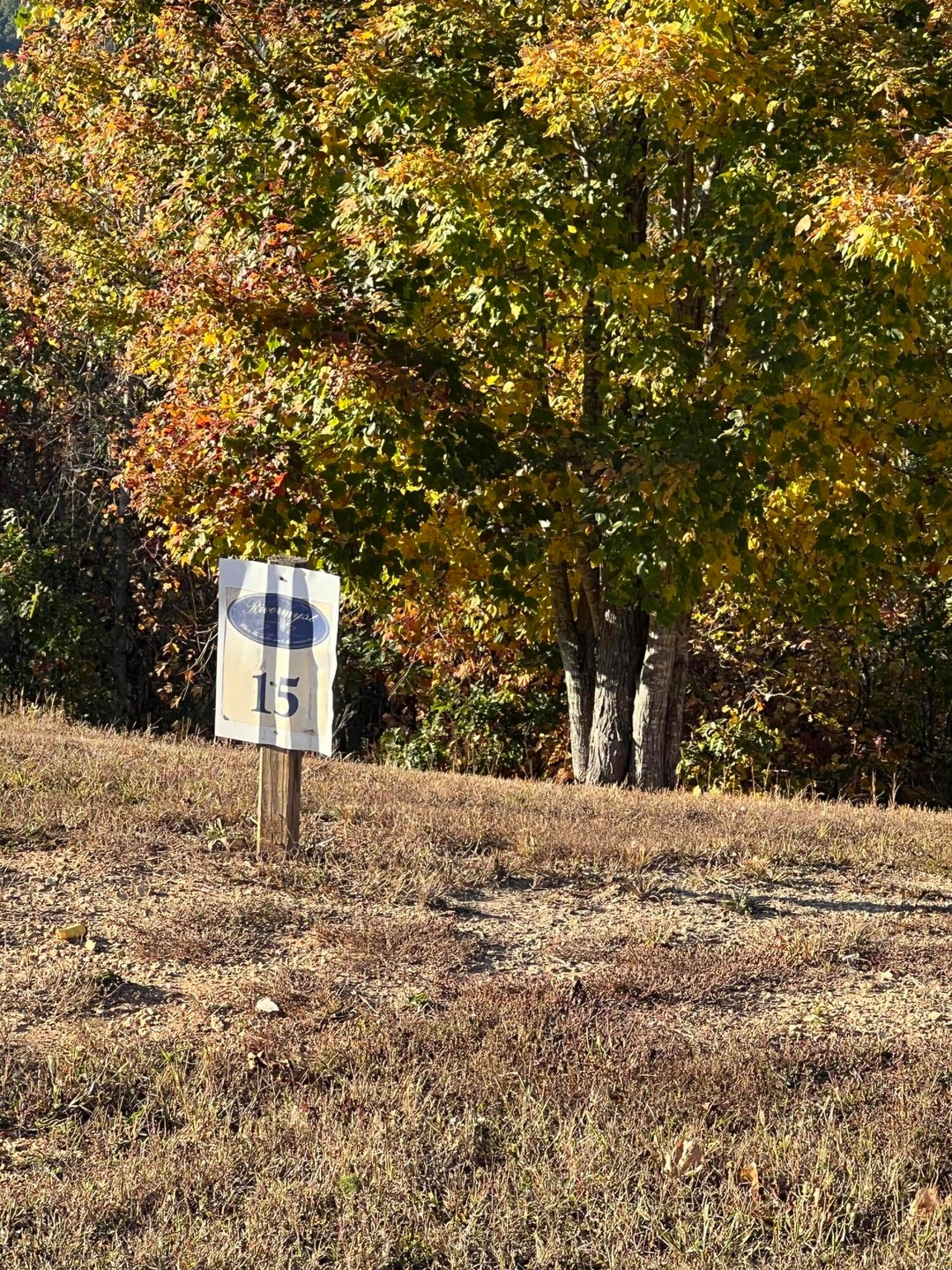 IMG-1900