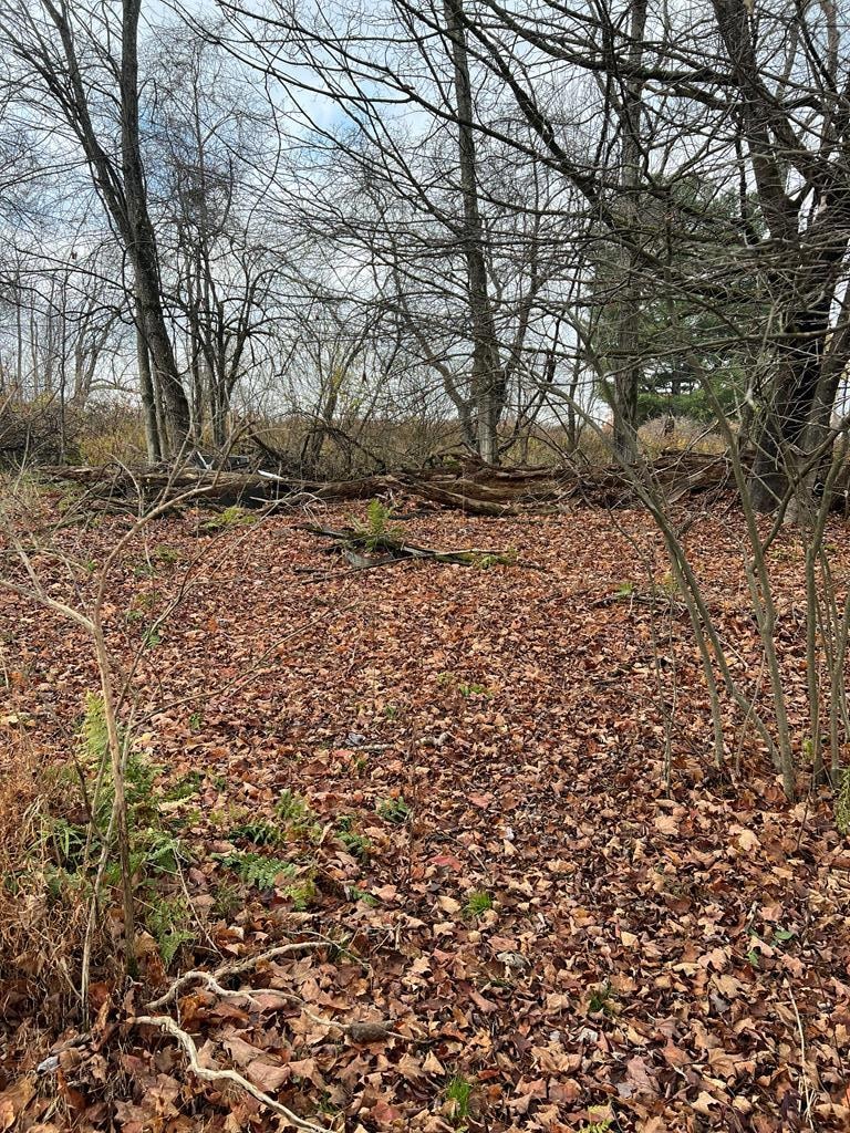 0 Big Bend Rd, Emlenton, PA 16373 - photo 1