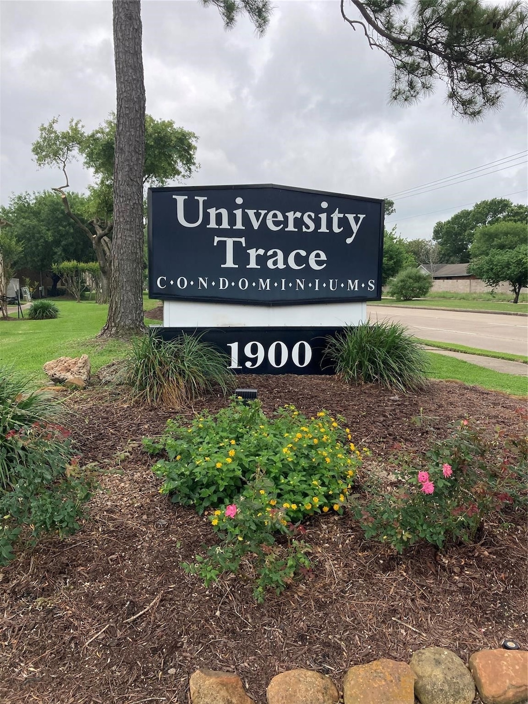Entry Driveway