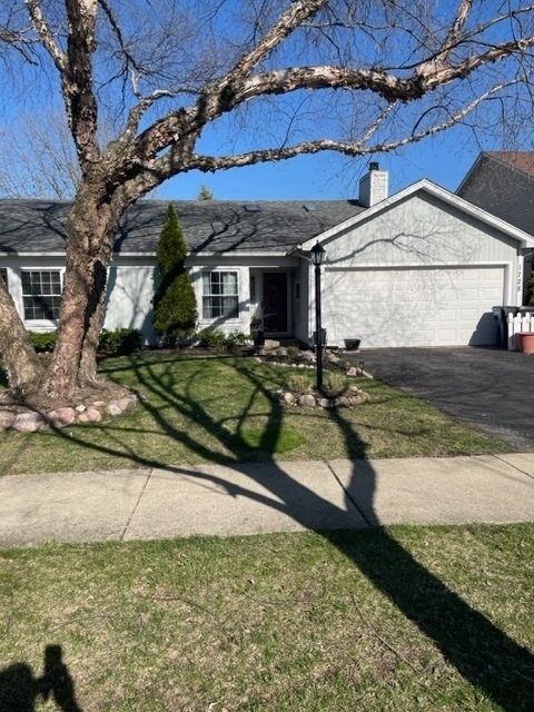 1728 Ranchview Dr, Naperville, IL 60565 - photo 1