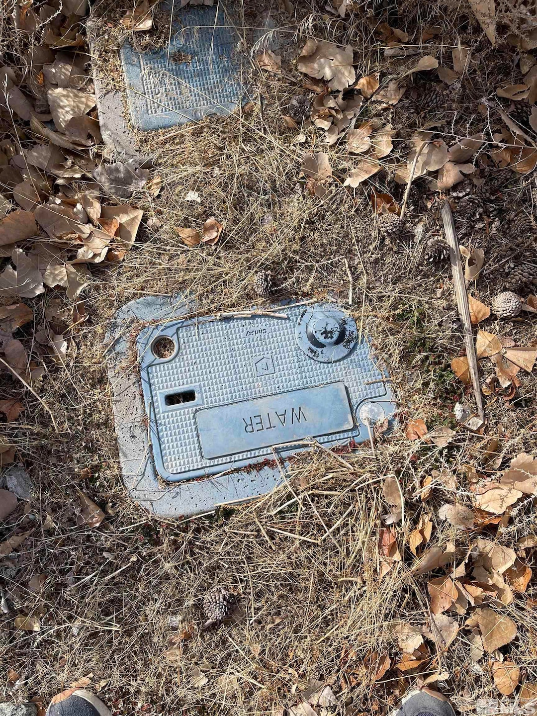 141 4th Ave, Yerington, NV 89447 - photo 1