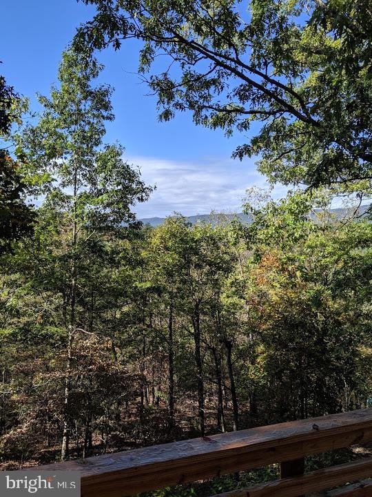 195 Straton Way, Basye-Bryce Mountain, VA 22810 - photo 1