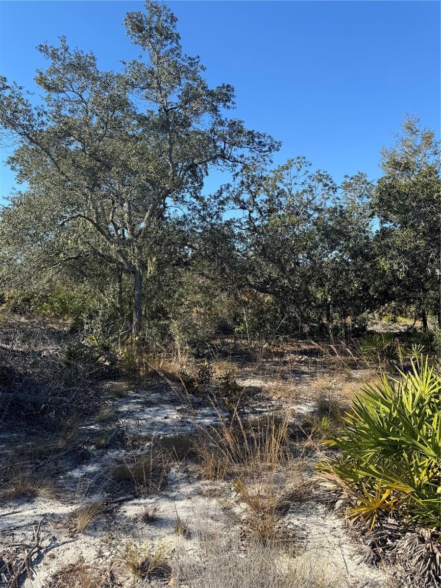 0 NE 123rd Ct unit MFRGC535566, Archer, FL 32618 - photo 1