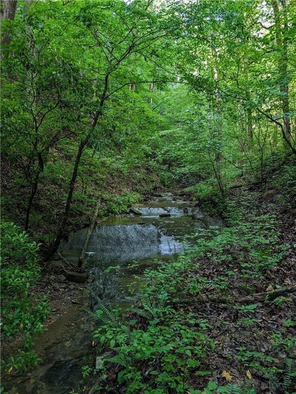 772 Naomi Ct, Ranger, GA 30734 - photo 1