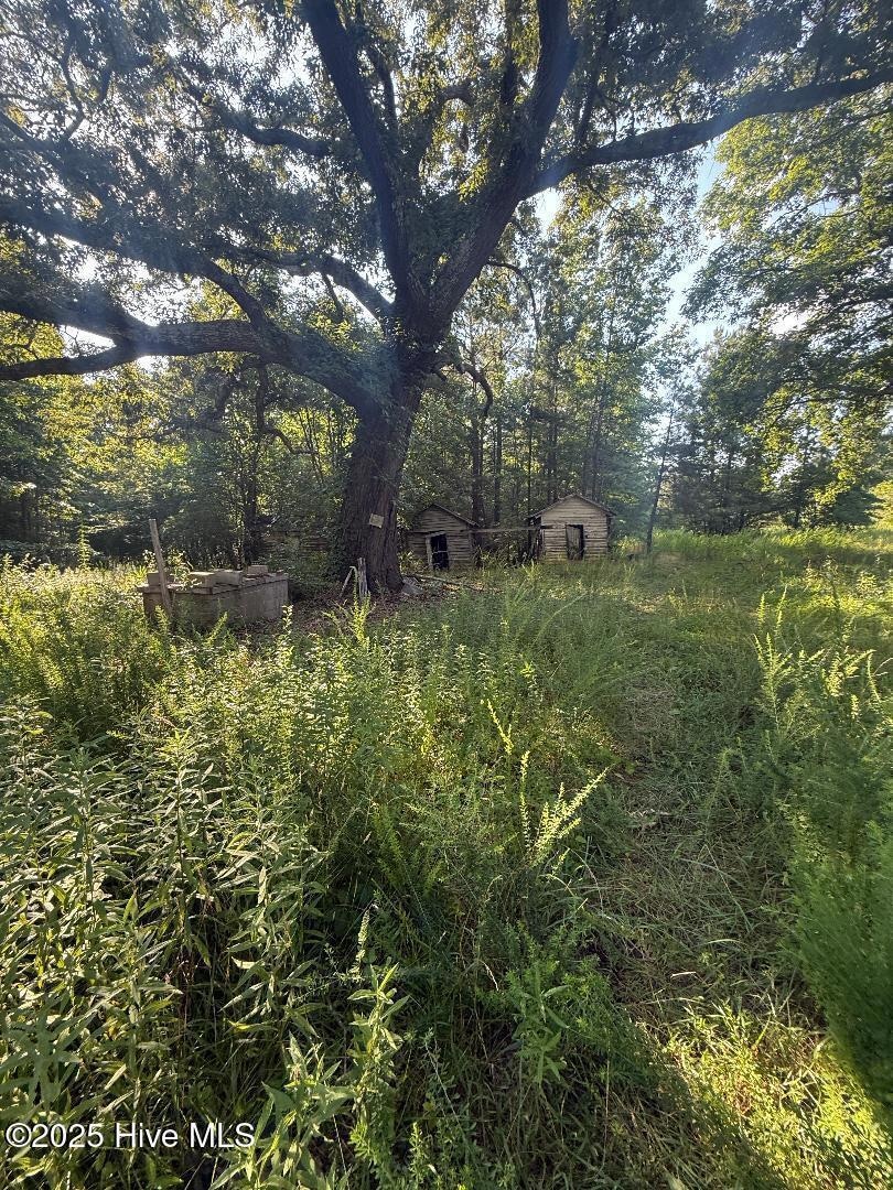 area to left of old home