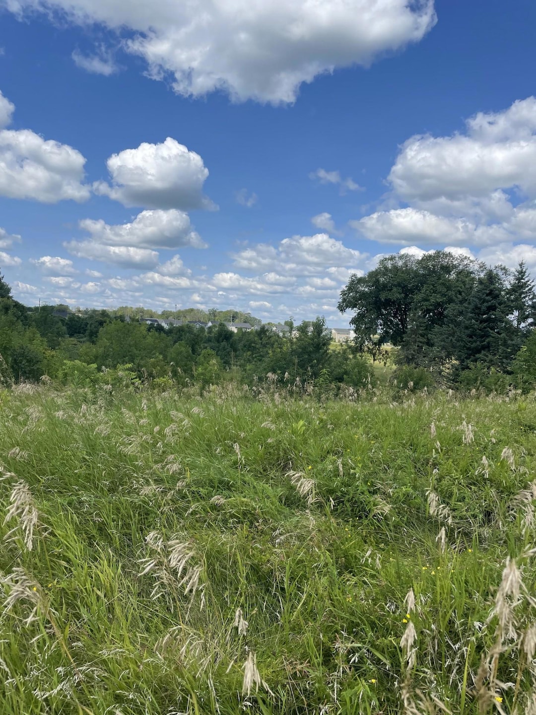 6475 Park Trail Rd, Corcoran, MN 55340 - photo 1