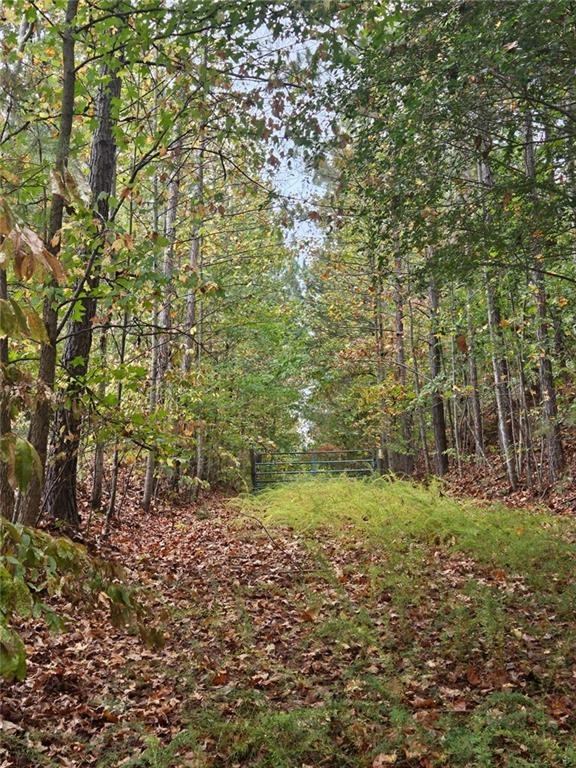 Log driveway to the property.