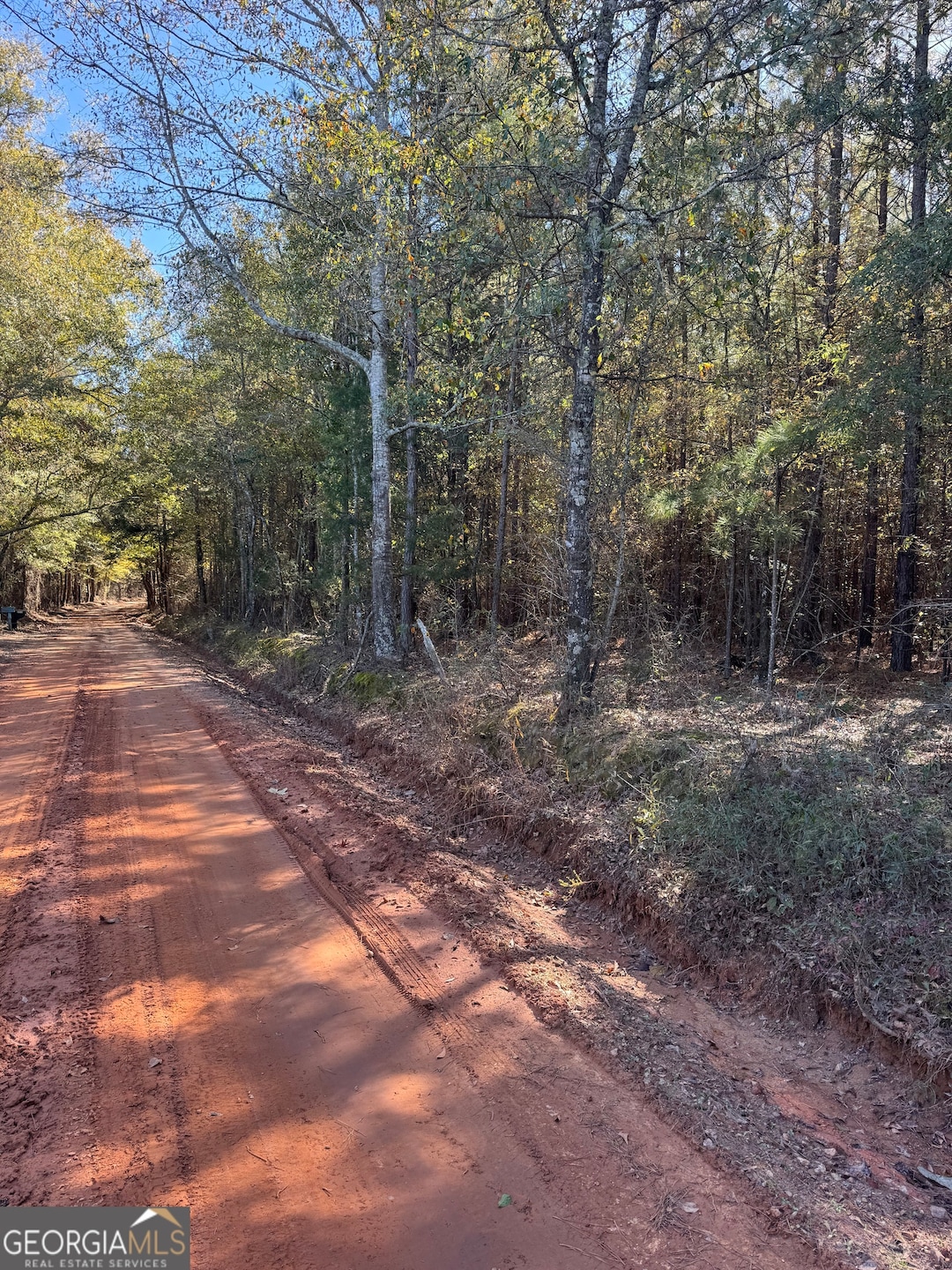 000 Jones Bridge Rd, Sparta, GA 31087 - photo 1