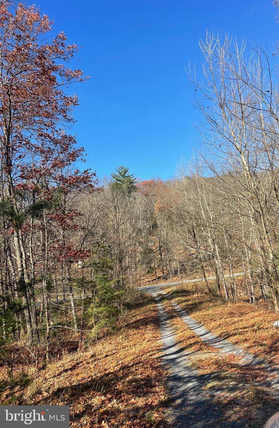 0 Hannah Ct unit WVHS2007060, Yellow Spring, WV 26865 - photo 1