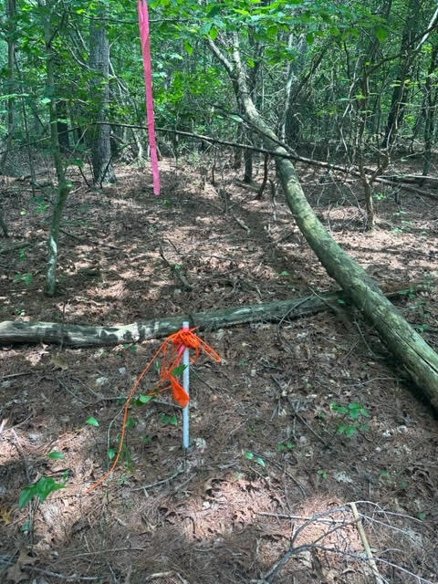 Haw Patch Rd