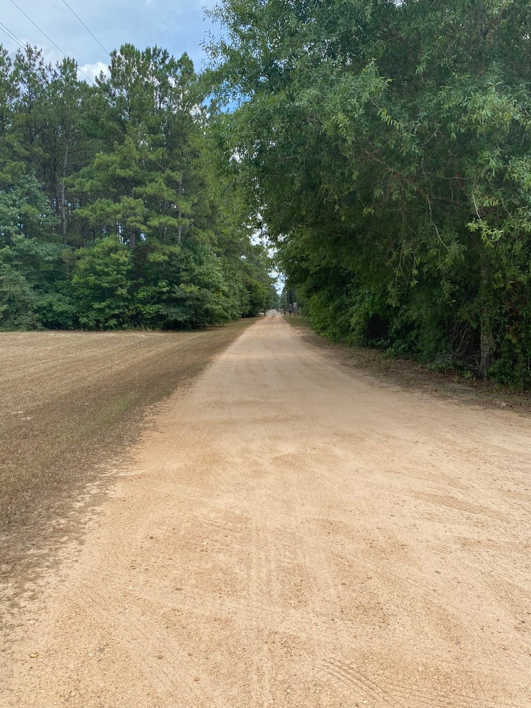 351 Scott Rd, Cleveland, TX 77328 - photo 1