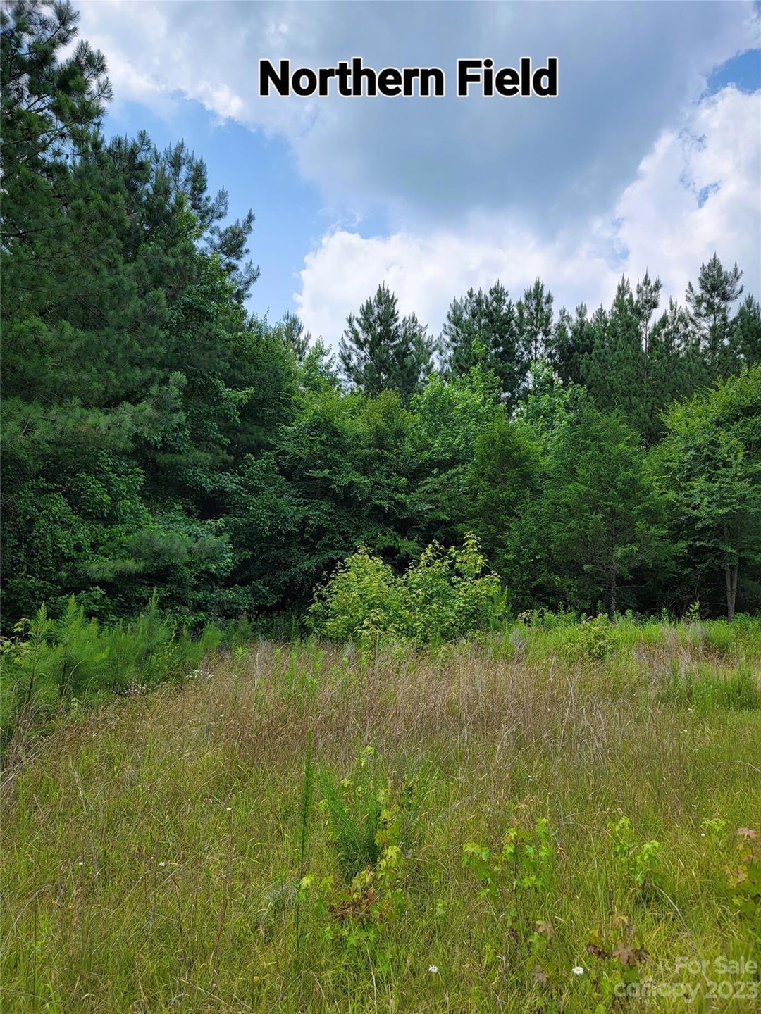 0000 Barnyard Ln, Cool Springs, NC 28625 - photo 1