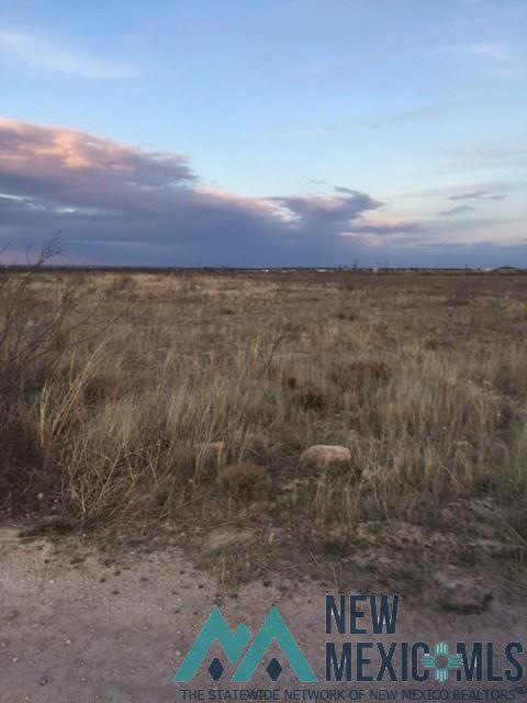 3812 Sandoval Rd, Carlsbad, NM 88220 - photo 1