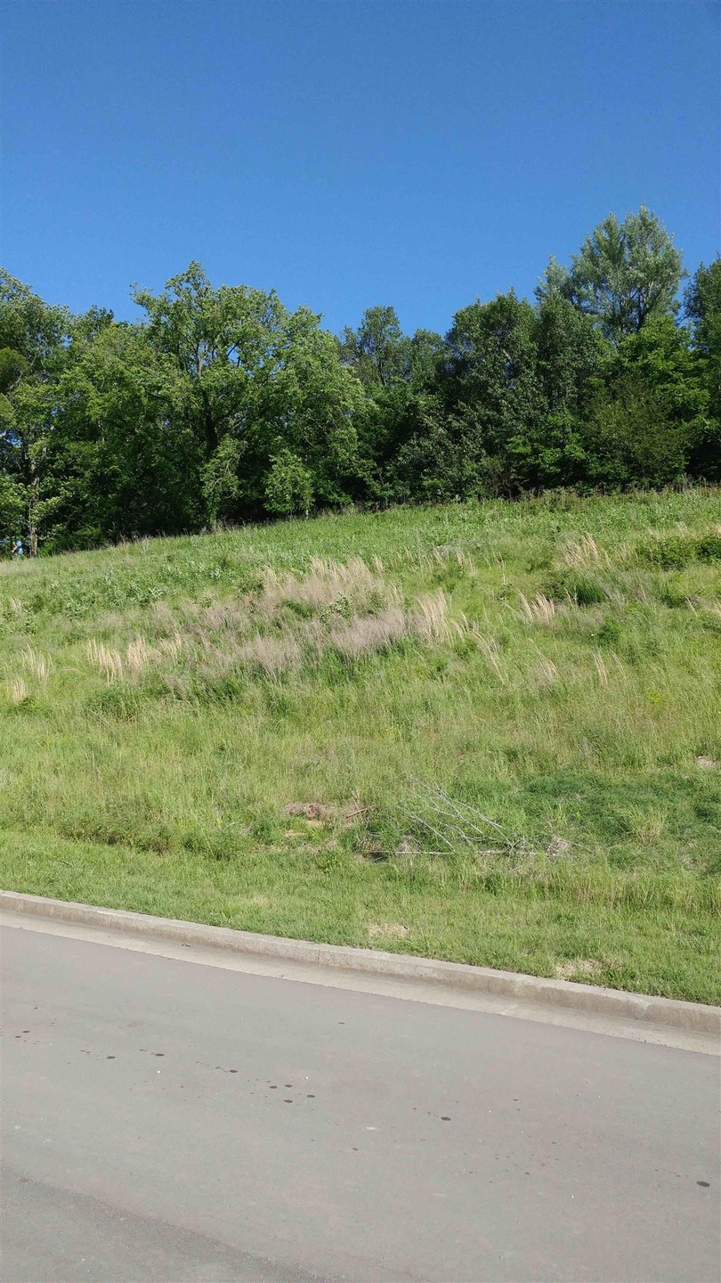 3008 Strickland Dr * unit 124, Franklin, TN 37069 - photo 1