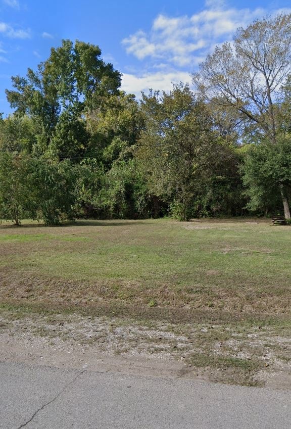 0 Sunnyhill unit 51240240, Houston, TX 77088 - photo 1