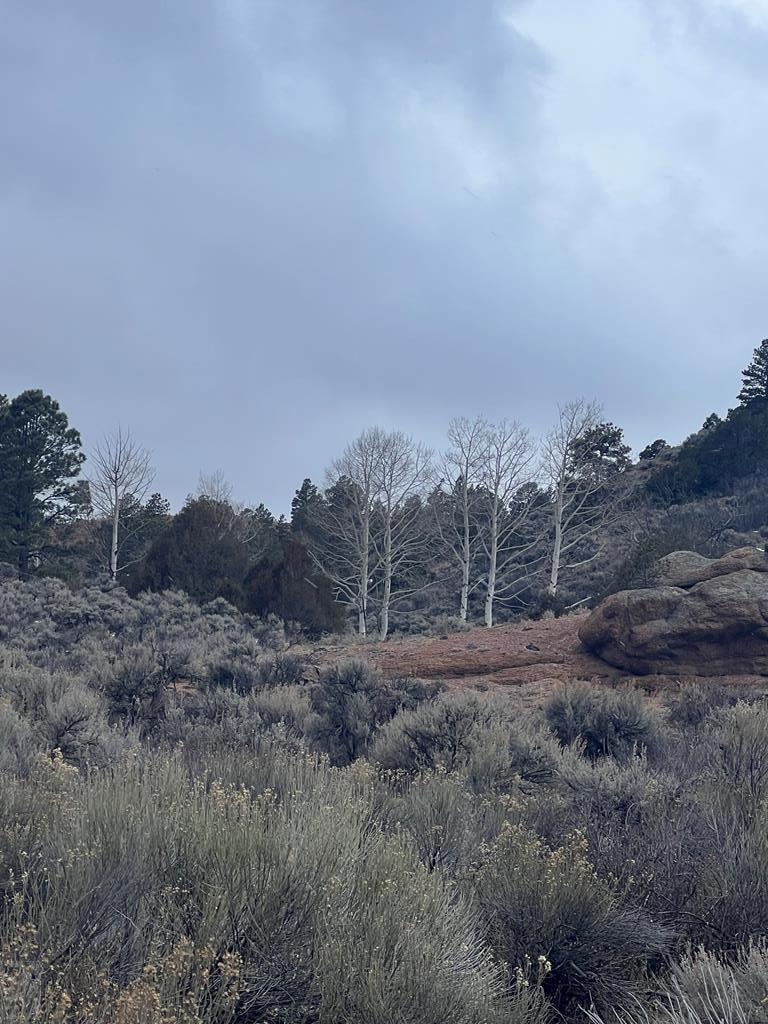 232 0, Fort Garland, CO 81133 - photo 1