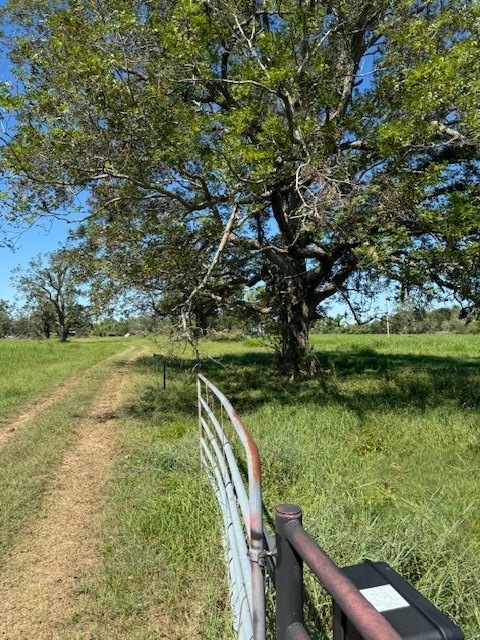 8208 County Road 400, Brazoria, TX 77422 - photo 1