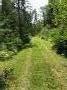 IMG_1524 (1)