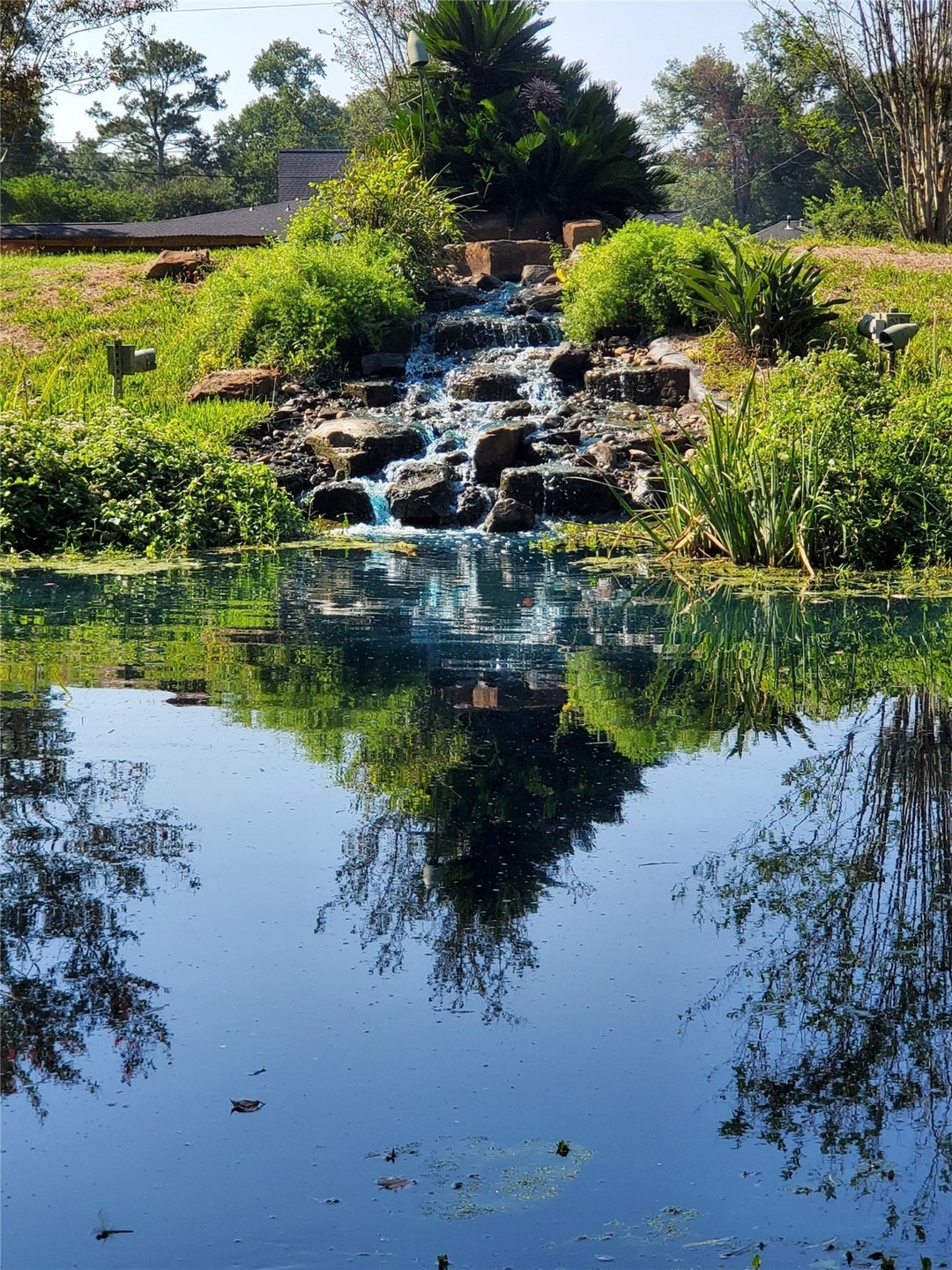 11656 Friendship Ln, Conroe, TX 77385 - photo 1