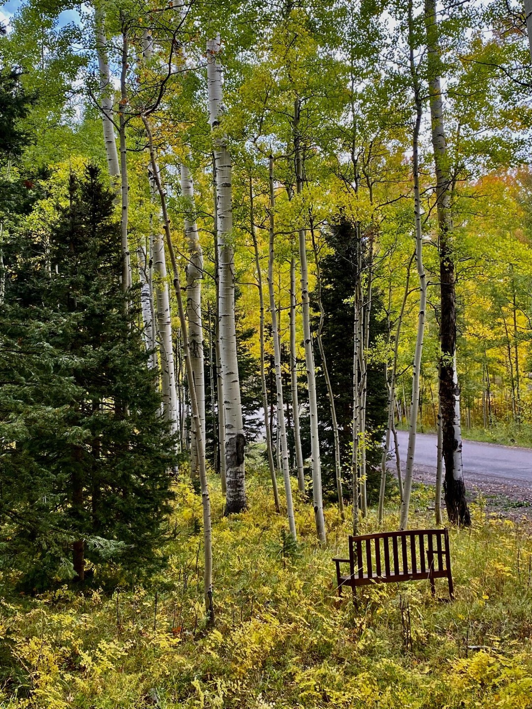 fox farm fall