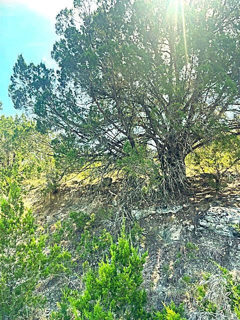 For Sale $63,000 • Co-Listing Agent