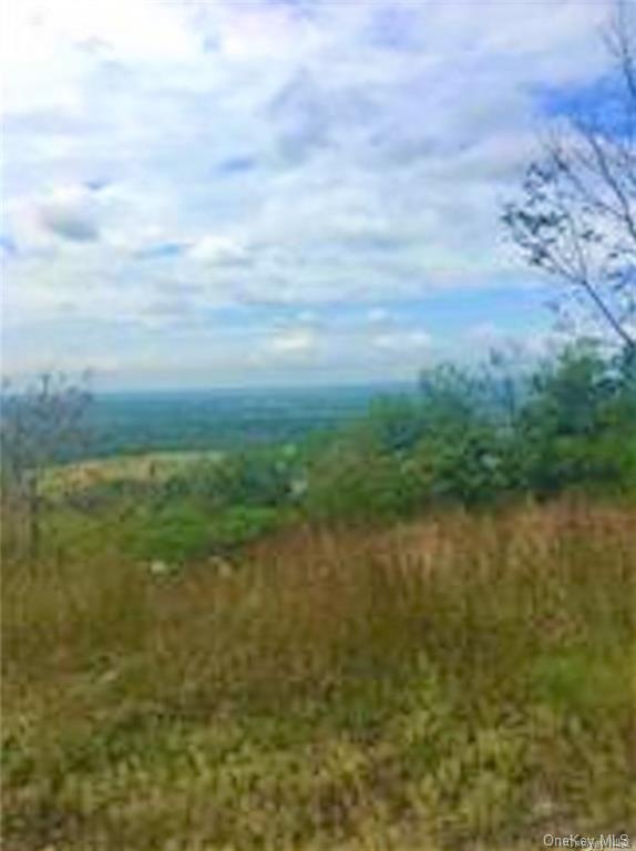 35 Schuyler Rd, Orangetown, NY 10913 - photo 1