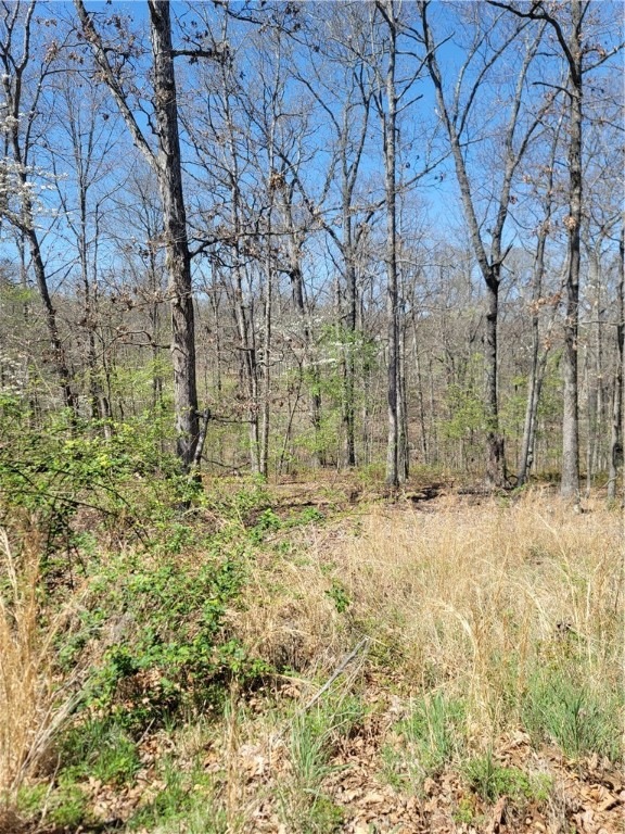 0 Ayton Ln unit 1271975, Bella Vista, AR 72714 - photo 1