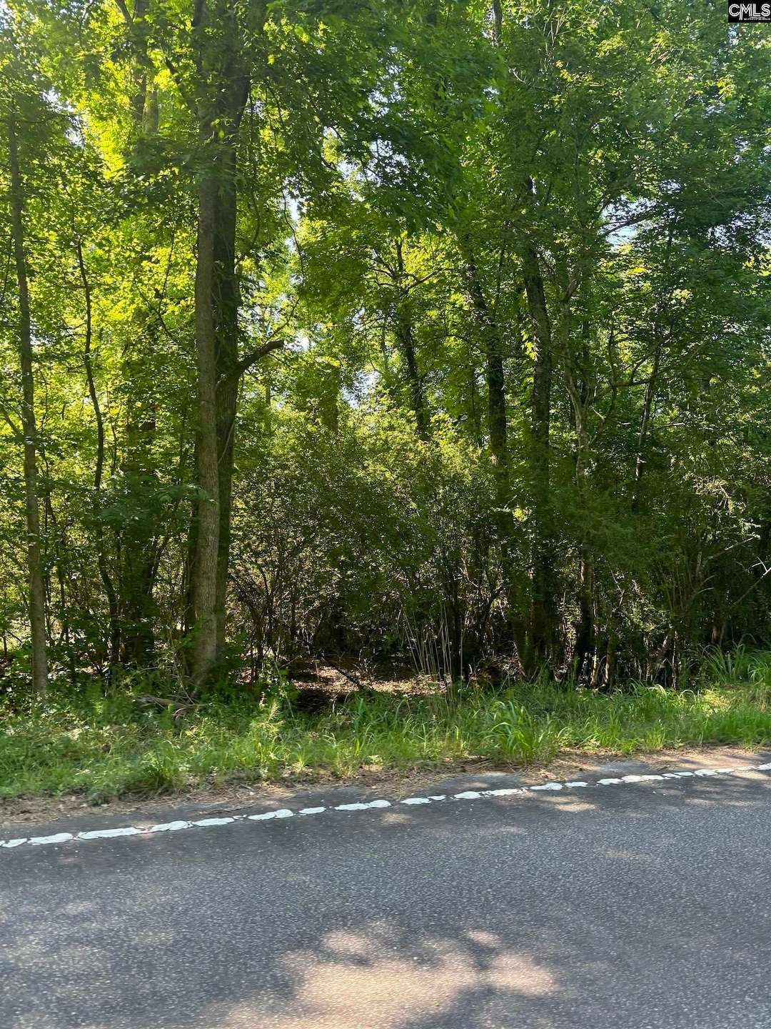 0 Black River Rd, Rembert, SC 29128 - photo 1