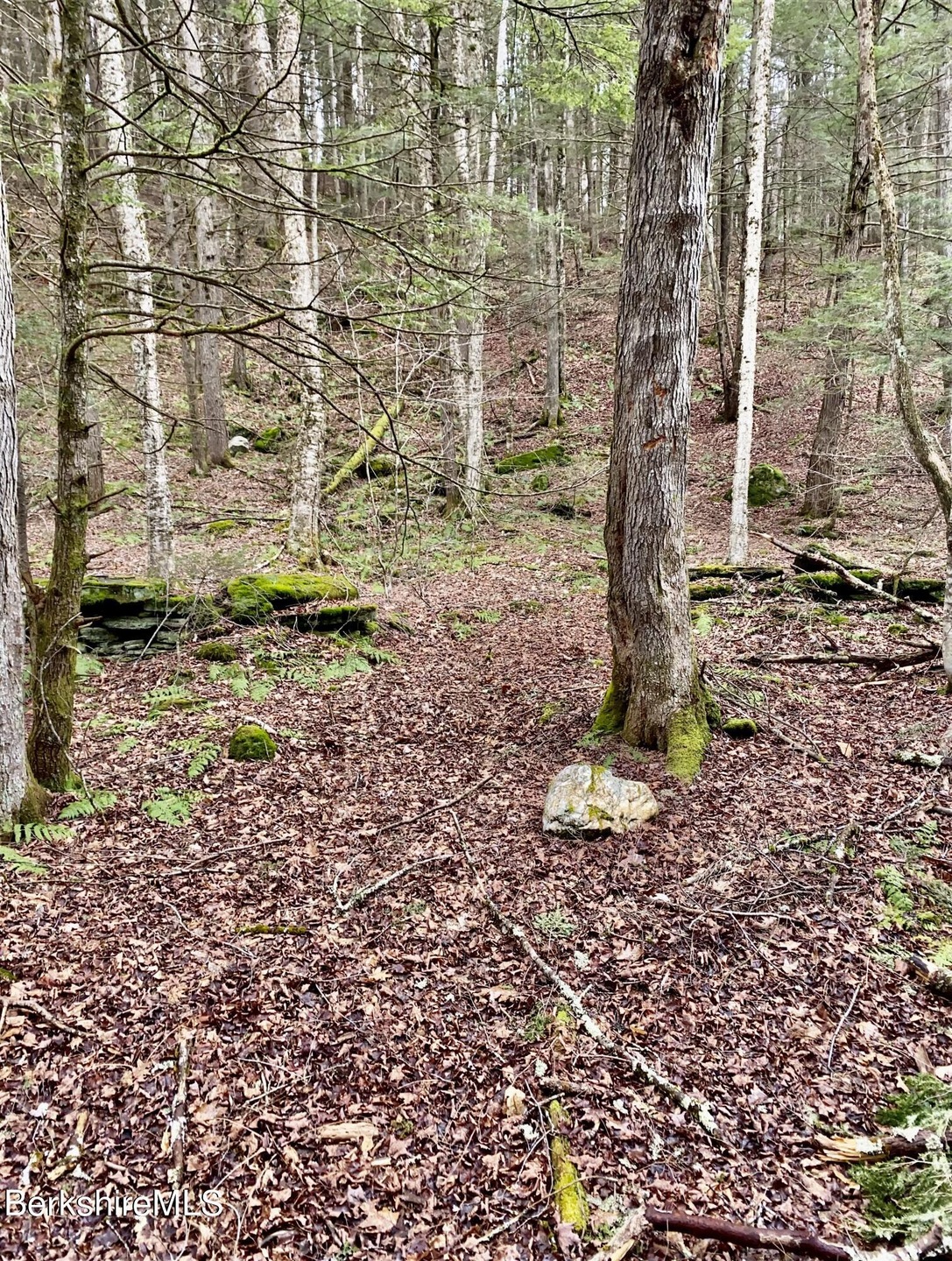 unlisted-address, Cummington, MA 01026 - photo 1