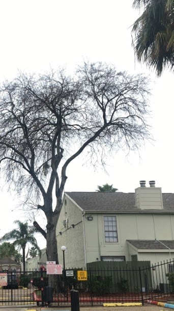 8714 Village of Fondren Dr unit 8714, Houston, TX 77071 - photo 1