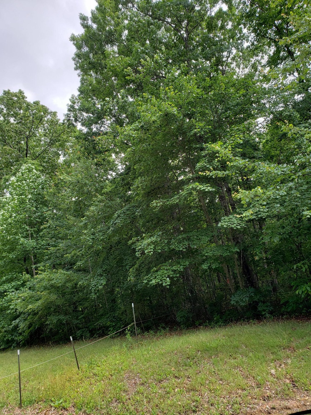 20190607_151549