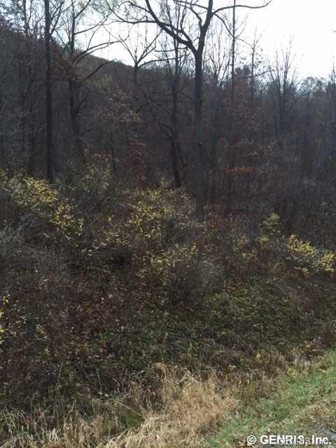 Land/Lot.