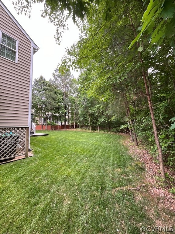 View of yard