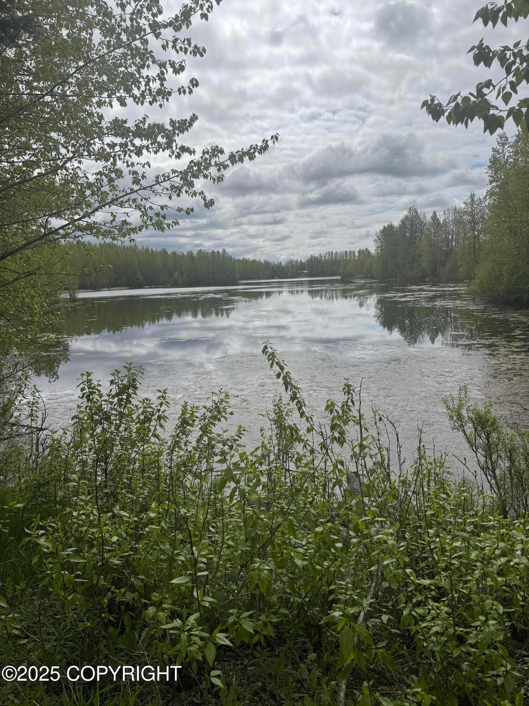 Cheney Lake