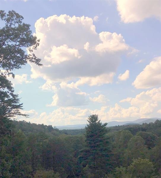 View from neighbors deck